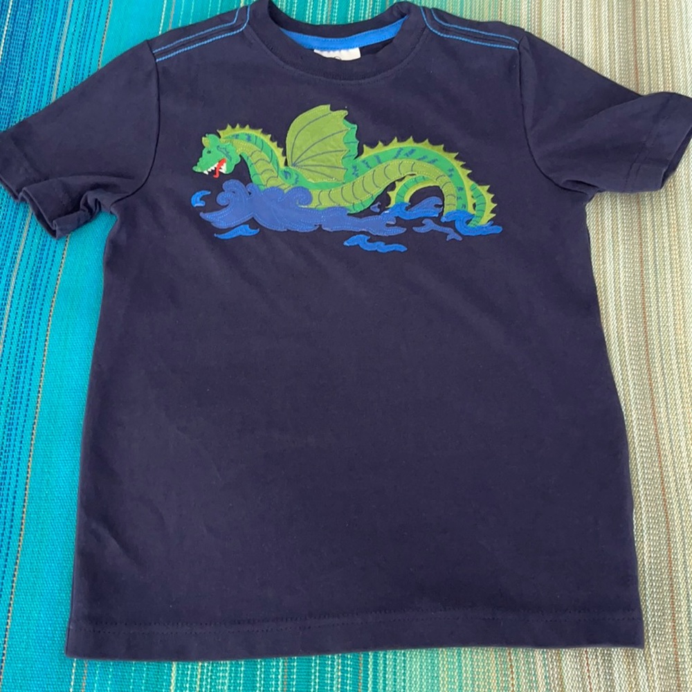 Hanna Andersson Boys T-shirt